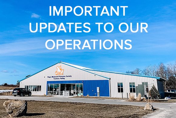Updated Operations for COVID-19